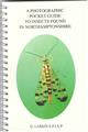 A Photographic Pocket Guide to Insects found in Northamptonshire. [Supplement 1]