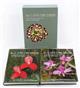 The Cape Orchids: A regional monograph of the orchids of the Cape Floristic Region