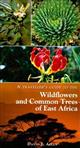 A Traveller's Guide to the Wildflowers and Common Trees of East Africa