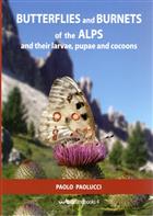 Butterflies and Burnets of the Alps and their larvae, pupae and cocoons