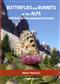 Butterflies and Burnets of the Alps and their larvae, pupae and cocoons