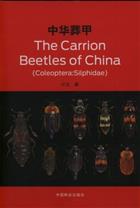 Carrion Beetles of China