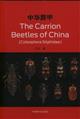 Carrion Beetles of China
