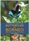 A Naturalists Guide to the Butterflies of Borneo