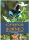 A Naturalist's Guide to the Butterflies of Borneo