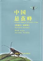 Systematic Studies on Meterorinae of China : (Hymenoptera: Braconiidae)