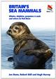 Britain's Sea Mammals: Whales, Dolphins, Porpoises and Seals and where to find them