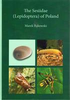 The Sesiidae (Lepidoptera) of Poland