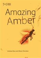 Amazing Amber