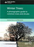 Winter Trees: A photographic guide to common trees and shrubs