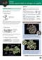 Guide to using a lichen based index to nitrogen air quality (Identification Chart)