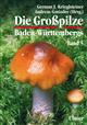 Die Grosspilze Baden-Württembergs Bd. 5: Ständerpilze: Blätterpilze III