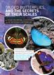 Gilded Butterflies and the Secrets of their Scales (DVD)