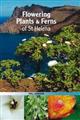 Flowering Plants & Ferns of St Helena