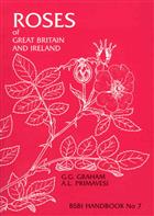 Roses of Great Britain and Ireland