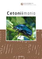 Cetoniimania No. 6
