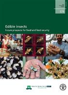 Edible insects: future prospects for food and feed security