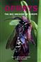 Ophrys: The Bee Orchids of Europe