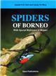 Spiders of Borneo: with special reference to Brunei