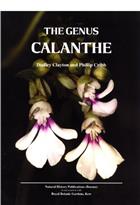 The Genus Calanthe