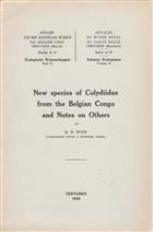 New Species of Colydiidae from the Belgian Congo and notes on others