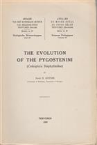 The Evolution of the Pygostenini (Coleoptera Staphylinidae)