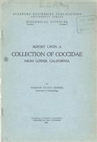 Report upon a Collection of Coccidae From Lower California