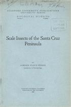 Scale Insects of the Santa Cruz Peninsula