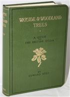 Wayside and Woodland Trees: A Guide to the British Sylva