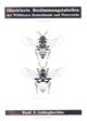 Illustrierte Bestimmungstabellen der Wildbienen Deutschlands und Oesterreichs 1: Anthophoridae