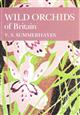 Wild Orchids of Britain (New Naturalist 19)