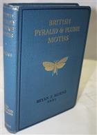 British Pyralid and Plume Moths