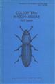 Coleoptera, Rhizophagidae (Handbooks for the Identification of British Insects 5/5a)