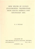 New Species of Ugyops (Fulgoroidae: Delphacidae) from South America and South-East Asia