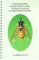 A Photographic Pocket Field Guide to Insects found in Northamptonshire. [Supplement 2]