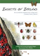 Insects of Ireland: An Illustrated Introduction to Ireland's Common Insect Groups