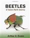 Beetles of Eastern North America