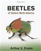 Beetles of Eastern North America