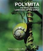 Polymita the Most Beautiful Land Snail of the World