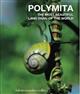 Polymita the Most Beautiful Land Snail of the World