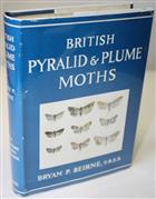 British Pyralid and Plume Moths