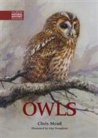 Owls