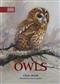 Owls