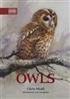 Owls