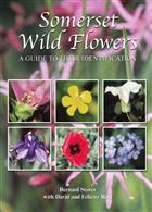 Somerset Wild Flowers: A Guide to Their Identification