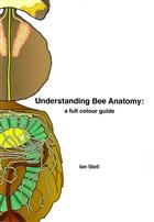 Understanding Bee Anatomy: A Full Colour Guide