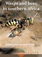 Wasps and bees in southern Africa