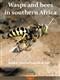 Wasps and bees in southern Africa