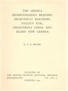 The Genera Henricohahnia Breddin, Dicrotelus Erichson, Nyllius Stål, Orgetorixa China and Allied New Genera