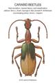 Carabid Beetles: Their Evolution, Natural History and Classification
